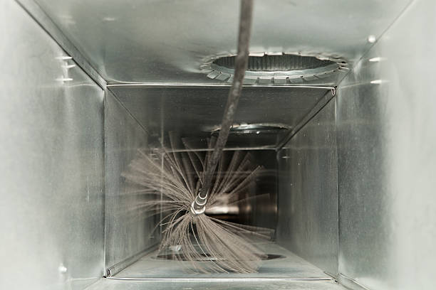 Best Best Air Duct Cleaning Company  in Mayville, WI