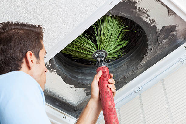Best Affordable Air Duct Cleaning  in Mayville, WI